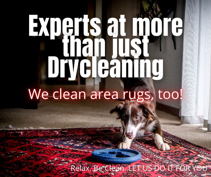 Experts at more than just drycleaning